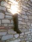 lampe2